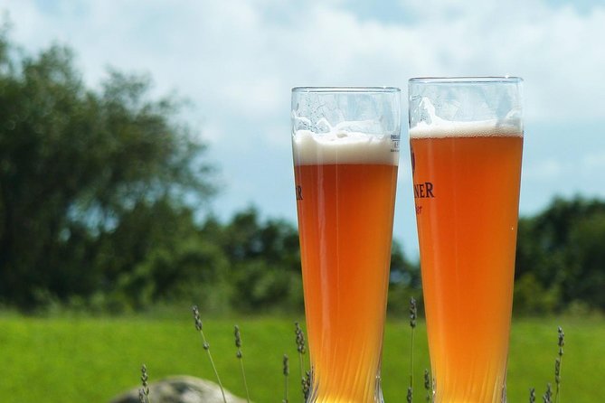 Private Tour: Craft Breweries and Beer Tastings in Niagara Region - Experience Highlights