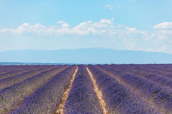 Private Tour of Gorges of Verdon and Fields of Lavender in Nice - Customer Support and Assistance