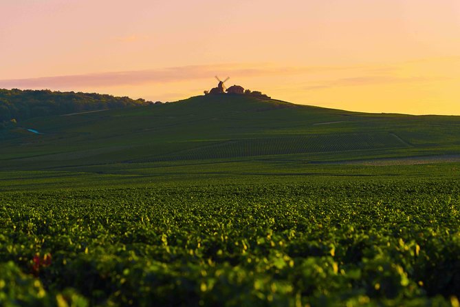 Private Tour of the Champagne Area, Meet Local Producers and Taste Their Champagne, Start From Your - Meet Local Producers