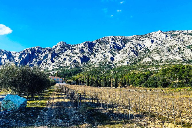 Provence - Mont Sainte Victoire in Search of Cézanne Private Wine Tour - Customer Reviews