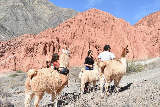 Purmamarca Walk With Llamas - Common questions