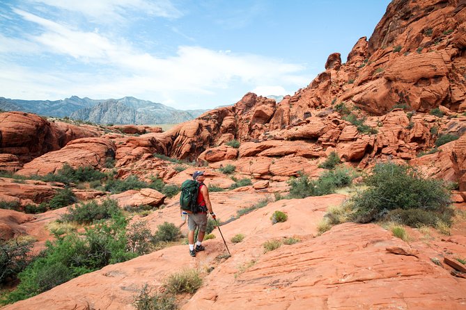 Red Rock Canyon Hiking Tour With Transport From Las Vegas - Included Amenities