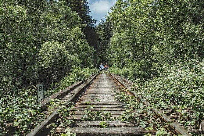 Redwoods Railbike Along Pudding Creek - Picnic and Hike Along the Route