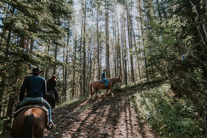 Ridge Ride 2-Hour Horseback Trail Ride in Kananaskis - All Rider Levels Welcome