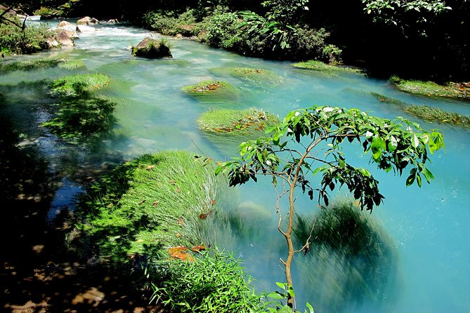 Rio Celeste Full-Day Tour From La Fortuna - Tour Highlights