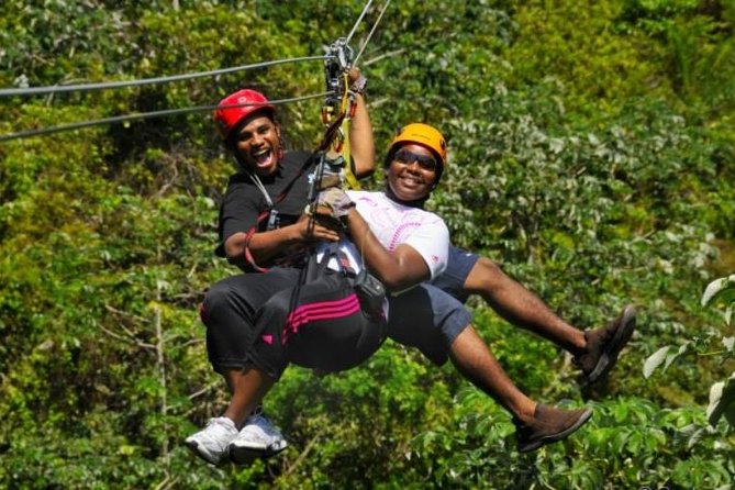 Roatan Shore Excursion: Zip N Dip Canopy Tour - Family-Friendly and Value for Money
