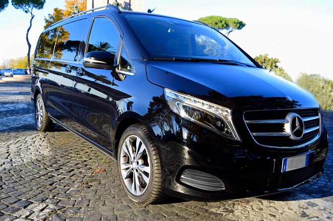 Rome Private Arrival Transfer: Fiumicino Airport to Hotel - Arrival Information and Expectations