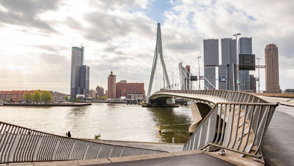 Rotterdam: Private Architecture Tour With a Local Expert - Experience Highlights