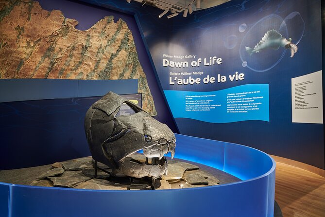 Royal Ontario Museum Admission - Family-Friendly Experiences