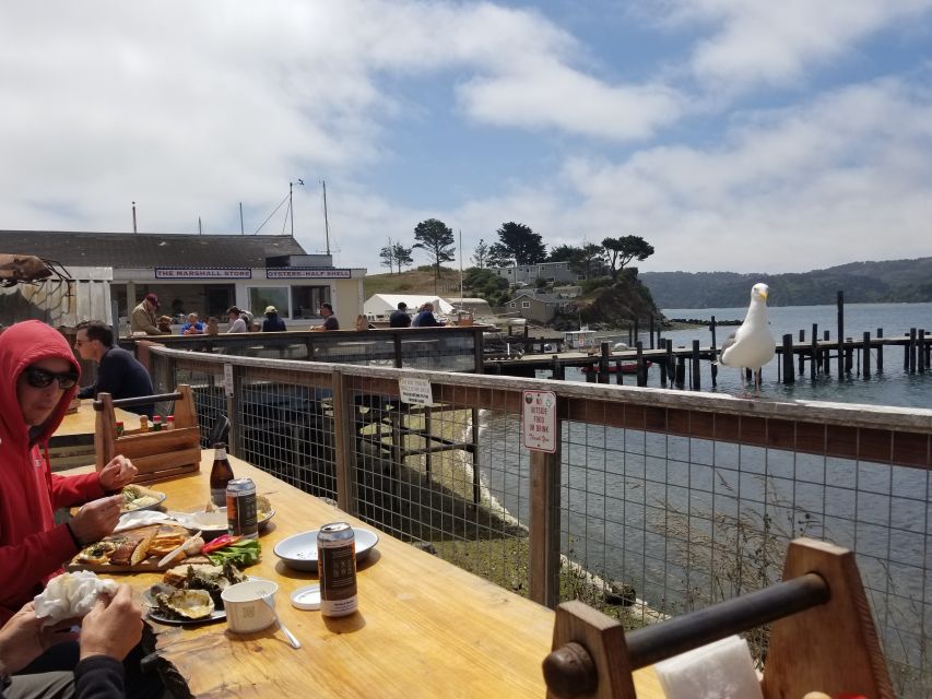 San Francisco: Cheese, Honey, Oysters & Wine Tour of Sonoma - Experience Highlights and Activities