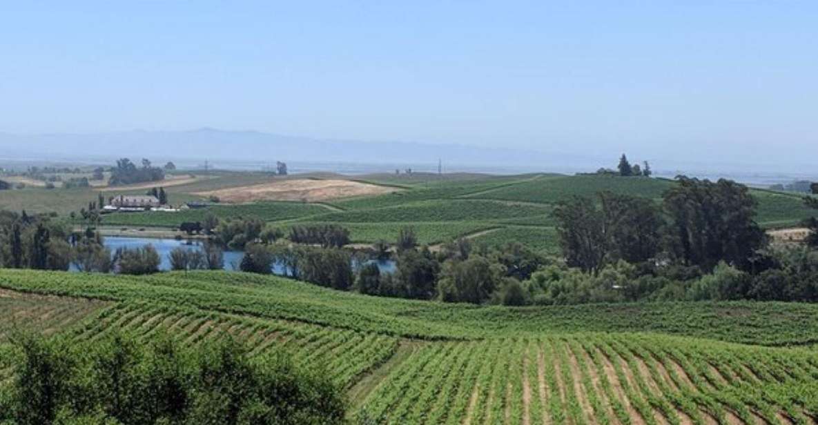 San Francisco: Napa and Sonoma Valley Private Wine Tour - Inclusions