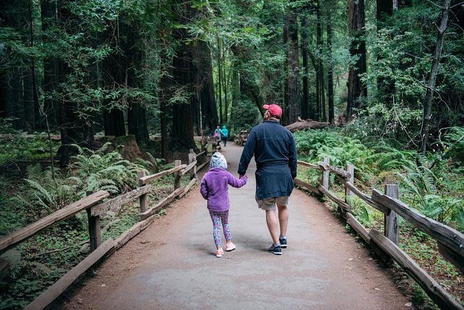 San Francisco Super Saver: Muir Woods & Wine Country W/ Optional Gourmet Lunch - Tour Inclusions and Highlights
