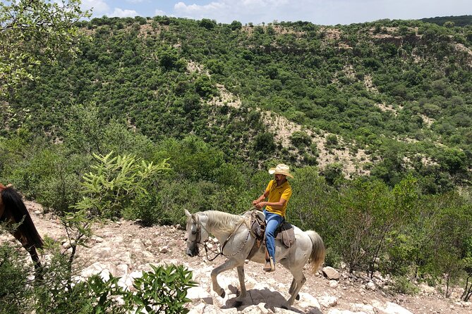 San Miguel De Allende Private Horseback Riding Tour - Reviews and Ratings