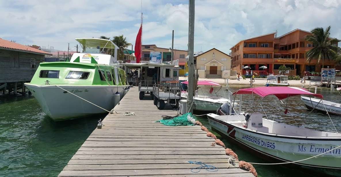 San Pedro: Guided Family Walking Tour - Experience Highlights