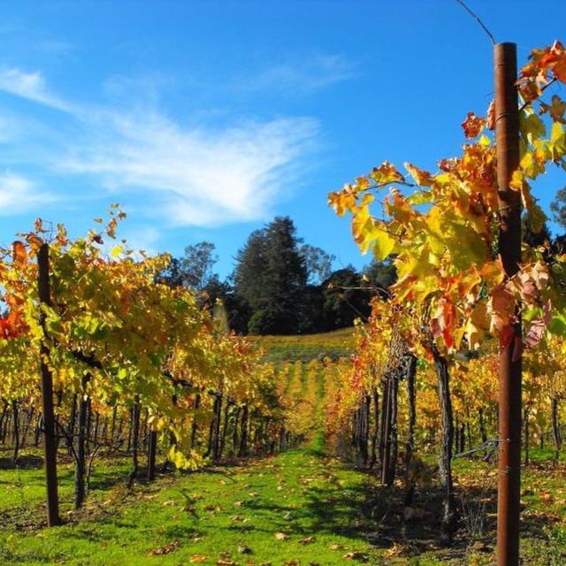 Santa Cruz: Private Custom Wine Tour With Hotel Pickup - Tour Duration and Guide Information