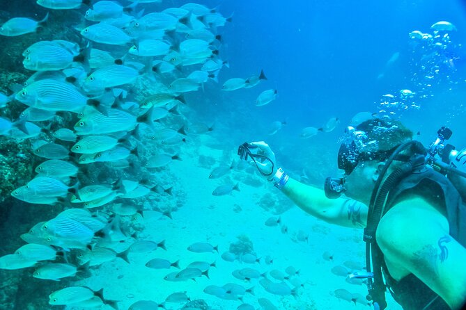 Scuba Diving With a 5-Star PADI Center in Puerto Vallarta - Inclusions and Equipment