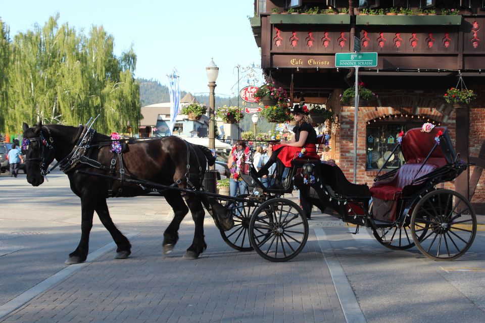 Seattle: Private Cascade Mountains and Waterfalls Day Tour - Tour Highlights and Sightseeing Spots