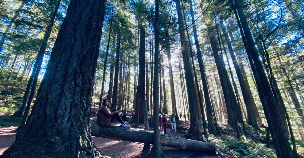 Seattle: Sensory Hike in Twin Fall for Adventurous Families - Location Details