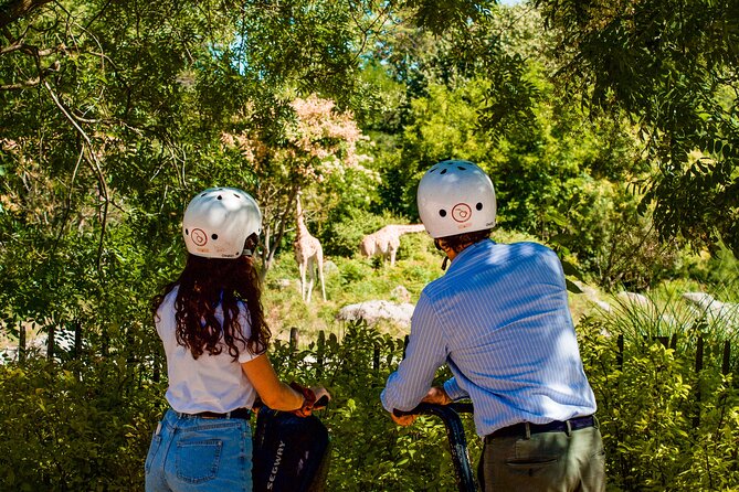 Segway Tour by Comhic - 2 Hours at Tête D'or Park - Safety Measures