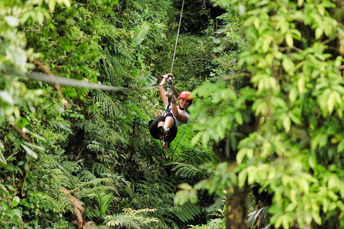 Selvatura Park Combo Tour From Monteverde - Selvatura Park Activities