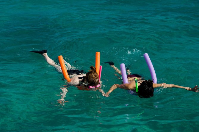 Shallow Water Snorkeling and Dolphin Watching in Key West - Shallow-Water Snorkeling Locations