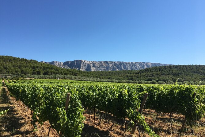 Short Day Tour Around Aix En Provence and Wine Tasting - Morning Activities