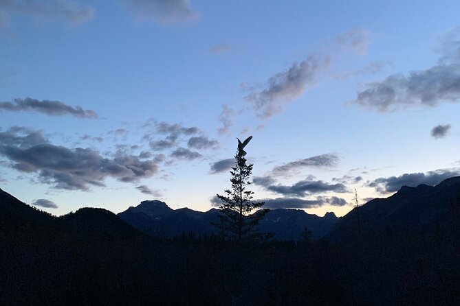 Small-Group 2-Hour Evening Hike With Stargazing, Banff - Tour Details and Expectations