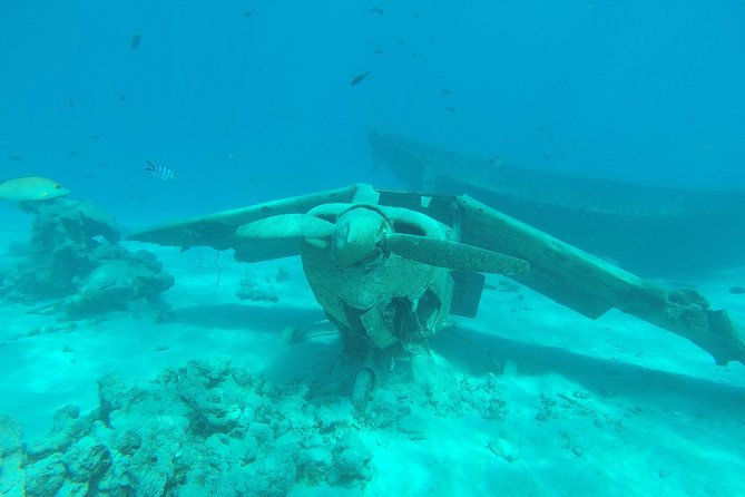 Small-Group 90-Minute Snorkeling Tour of Wrecks, Tahiti - Booking Guidelines