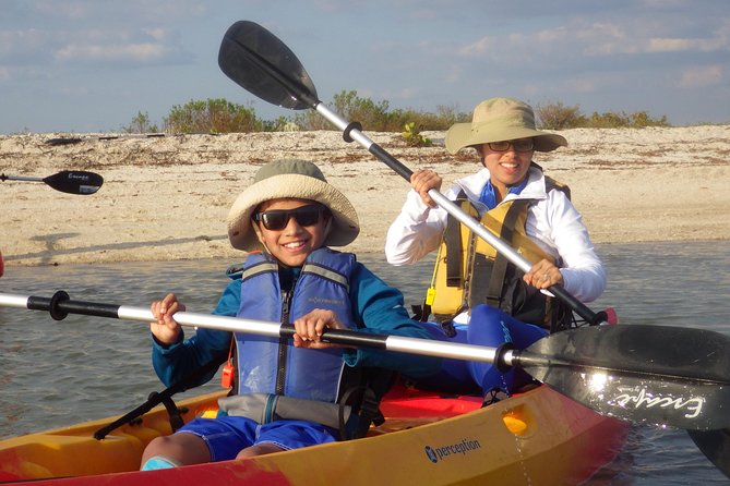 Small Group Boat, Kayak and Walking Guided Eco Tour in Everglades National Park - Expert Guided Eco Tours