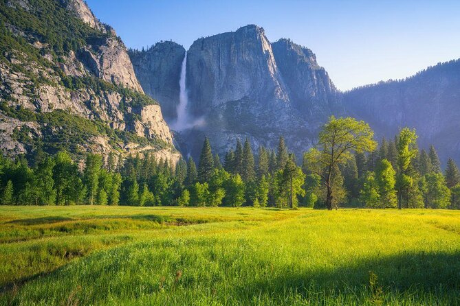 Small-Group Day Trip to Yosemite From Lake Tahoe - Traveler Feedback