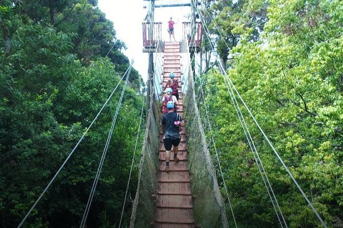 Small-Group Half-Day Maui Zipline Tour - Inclusions and Requirements