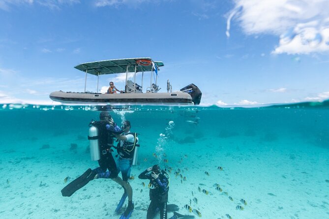 Small-Group Introductory Scuba Diving Experience in Bora Bora - Inclusions and Logistics