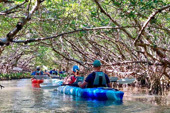 Small Group Kayak Tour of the Shell Key Preserve - Tour Experience