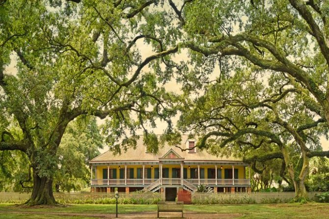 Small-Group Laura and Whitney Plantation Tour From New Orleans - Customer Reviews and Recommendations