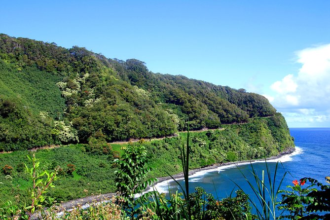 Small-Group Road to Hana Luxury Tour - Tour Guides Expertise