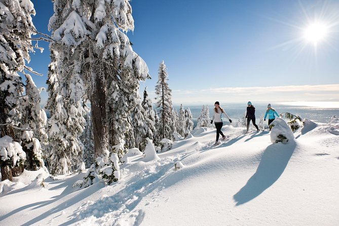 Small Group Tour: Capilano Suspension Bridge and Grouse Mountain From Vancouver - Booking Information