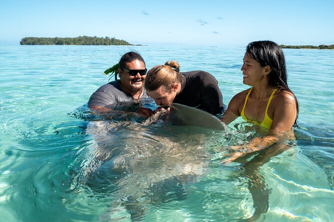 Snorkeling Excursion and Encounter With Marine Fauna in Moorea - Interaction With Stingrays and Sharks