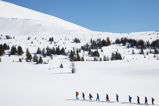 Snowshoeing Tour From Baniff  - Banff - Tour Inclusions