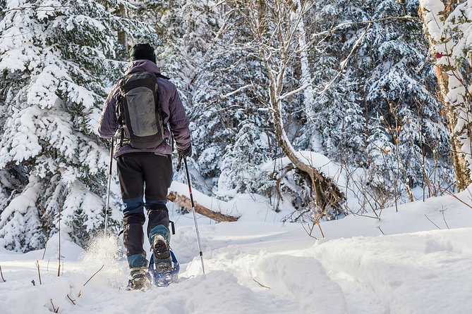 Snowshoeing Tour in Jacques-Cartier National Park - Final Words