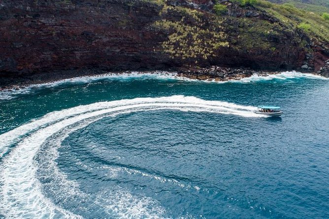 South Kona Coast Half-Day Morning Snorkeling Cruise  - Big Island of Hawaii - Memorable Experiences Shared