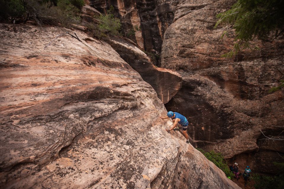 Springdale: Half-Day Canyoneering and Climbing Adventure - Experience Highlights