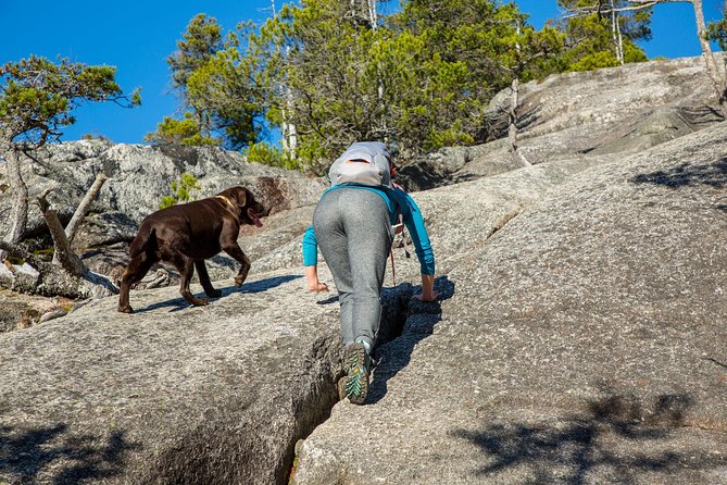 Stawamus Chief Hike & Local Brewery Tasting - Reviews and Testimonials