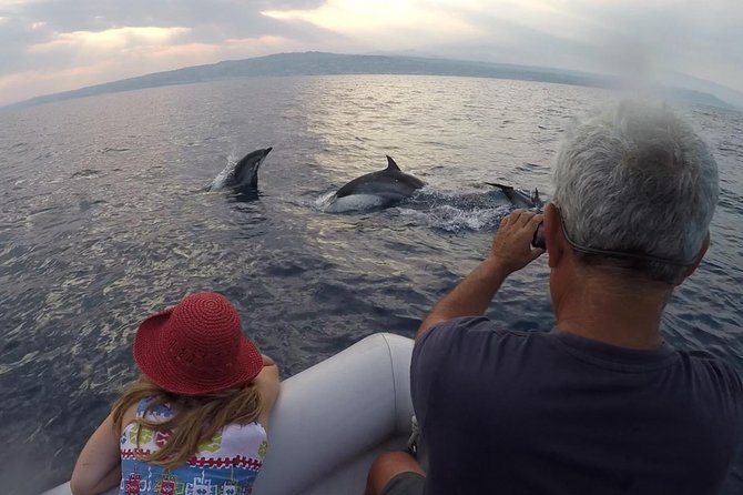 Sustainable Dolphin Watching Tour With Marine Biologist  - Sicily - Sustainable Practices