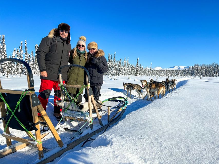 Talkeetna: Winter Dog Sled Tour Morning or Night Mush! - Experience Highlights