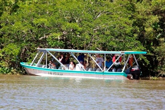 Tamarindo Estuary Boat Safari - Booking and Schedule Details