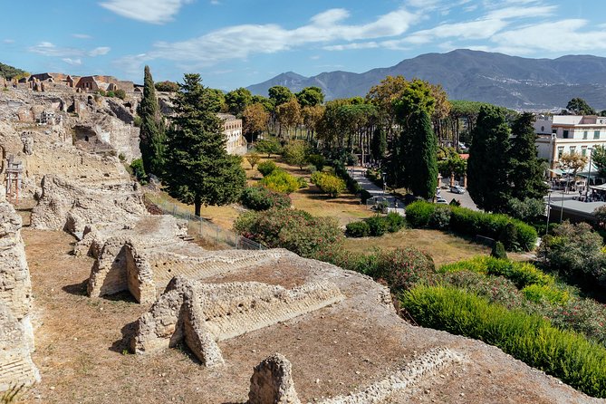 The Ultimate Ruins of Pompeii and Herculaneum Private Day Trip - Logistics