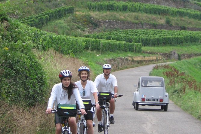 Through Alsace Vineyards and Wine Villages Private Bike Tour - Meeting Point and Logistics