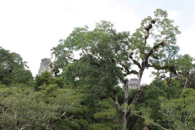 Tikal VIP Exclusive Tour From Flores All-Inclusive - Guide Expertise