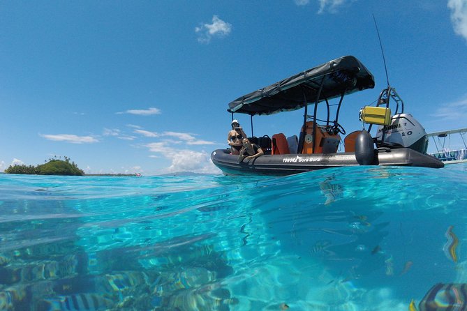 Tohora Bora Bora Snorkeling Lagoon Tours - Small-Group Experience