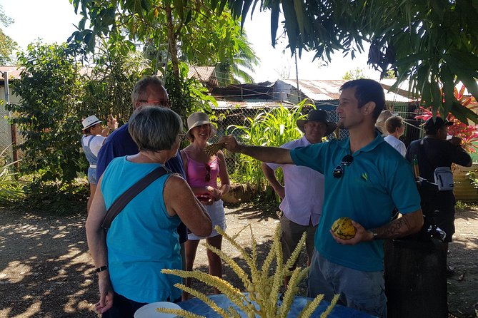 Tortuguero Canals Including Playa Bonita and Puerto Limon Highlights - Tour Logistics